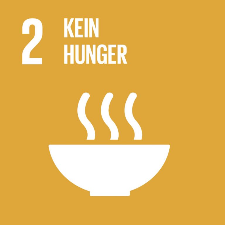 Sdgs Deutsch Unterziele - German Indicators For The Sustainable Development Goals : Zum deutsch lernen zuhause oder in der schule.